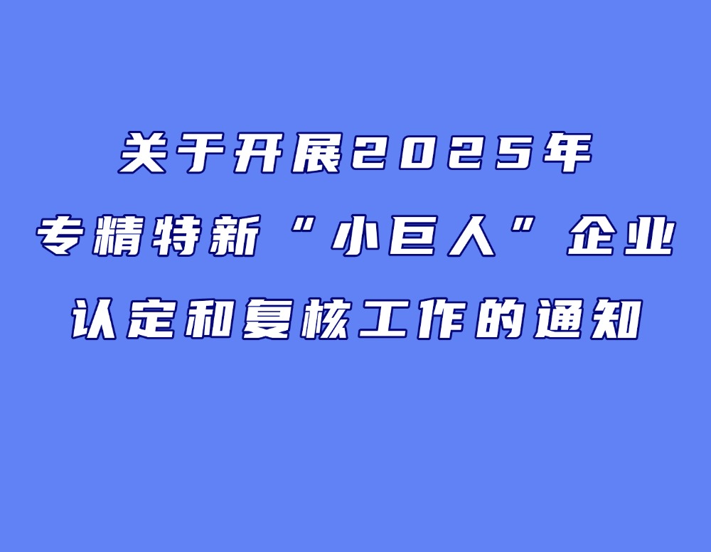 关于开展2025年专精特新“小巨人”企业认定和复核工作的通知